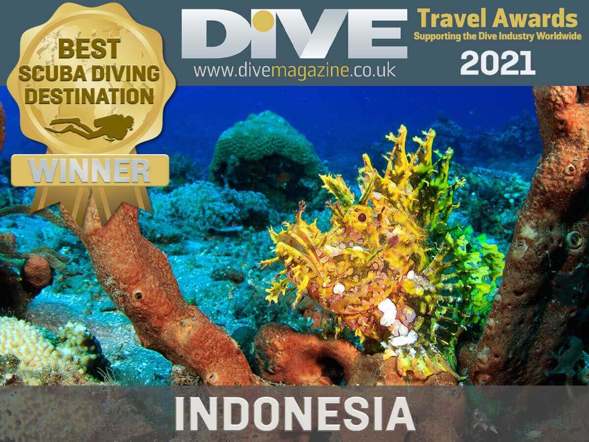 best scuba diving destination indonesia