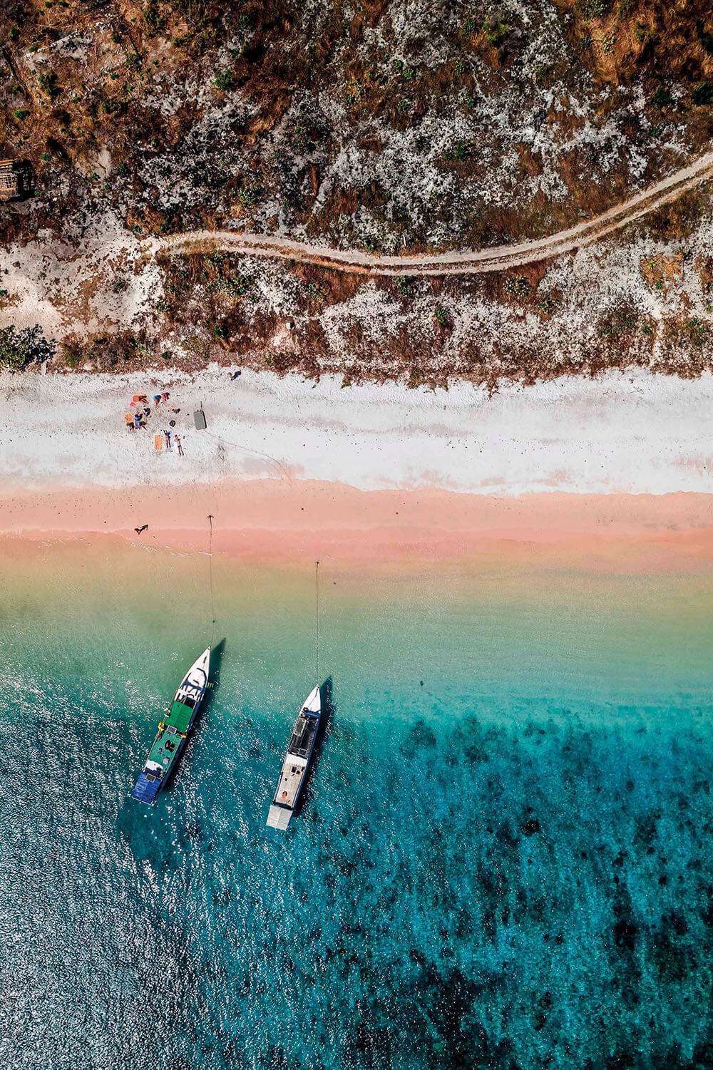 Project Hiu boats on a deserted beach in Lombok