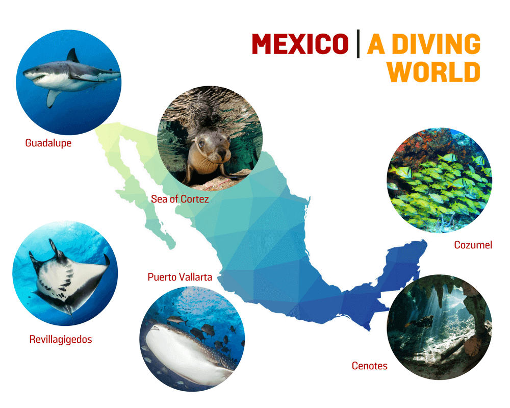 Mexico scuba diving map