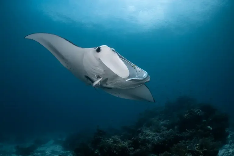 Featured Photographer: Jasmine Corbett