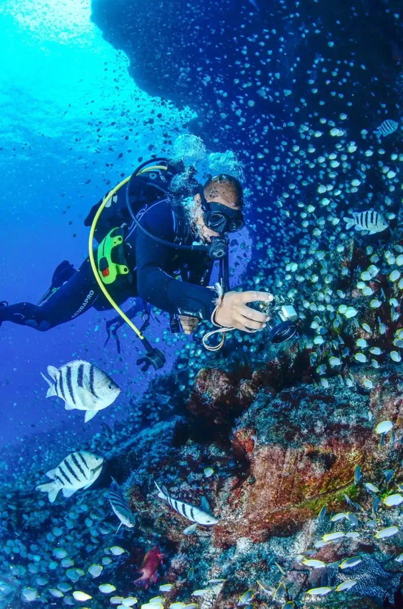 A diver among a cloud of endemic St Helena butterflyfish (Chaetodon sanctaehelenae)