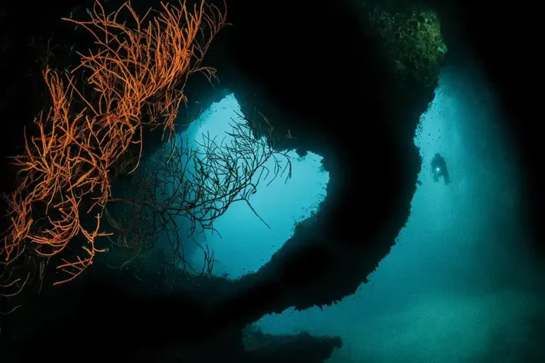 ‘Voyage of Discovery’ – finding new dive sites in Raja Ampat