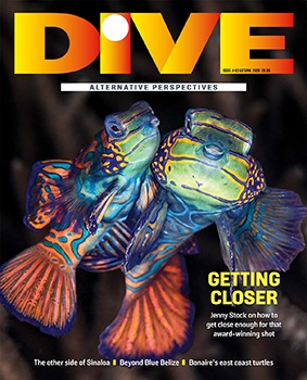 DIVE Magazine Autumn 26 print issue