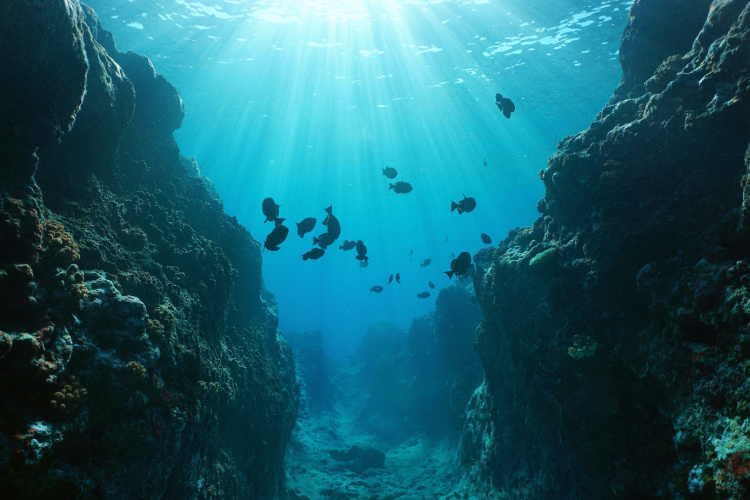 QUIZ: Pacific Ocean