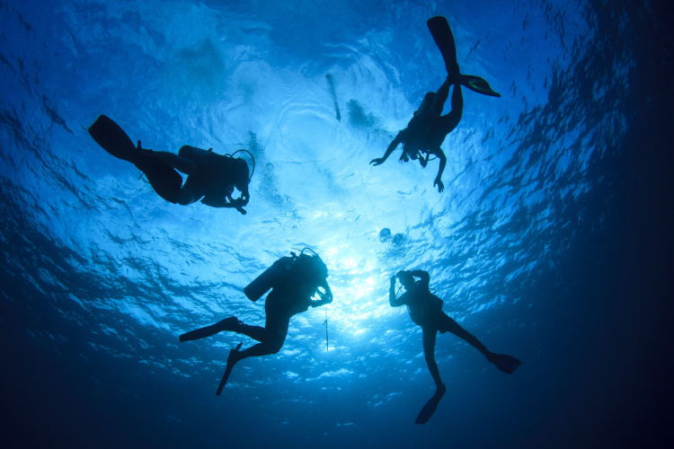 QUIZ: Dive Kit