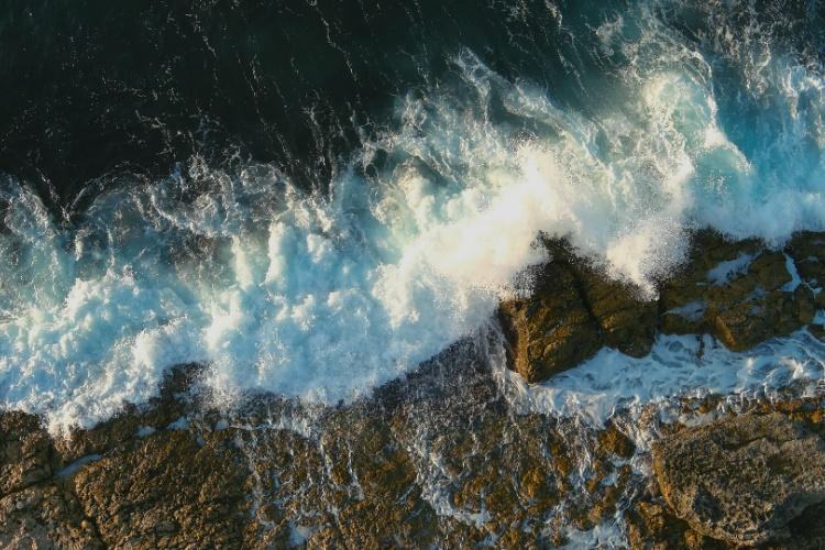 QUIZ: Oceanography – 2