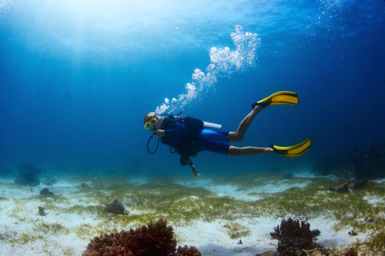 QUIZ: Scuba Diving Basics