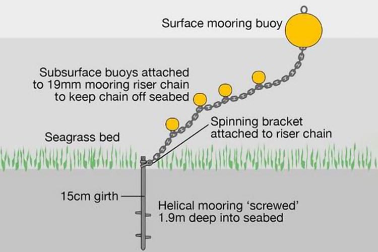 Diagram of the Advanced Mooring System installation in the Cawsand Bay