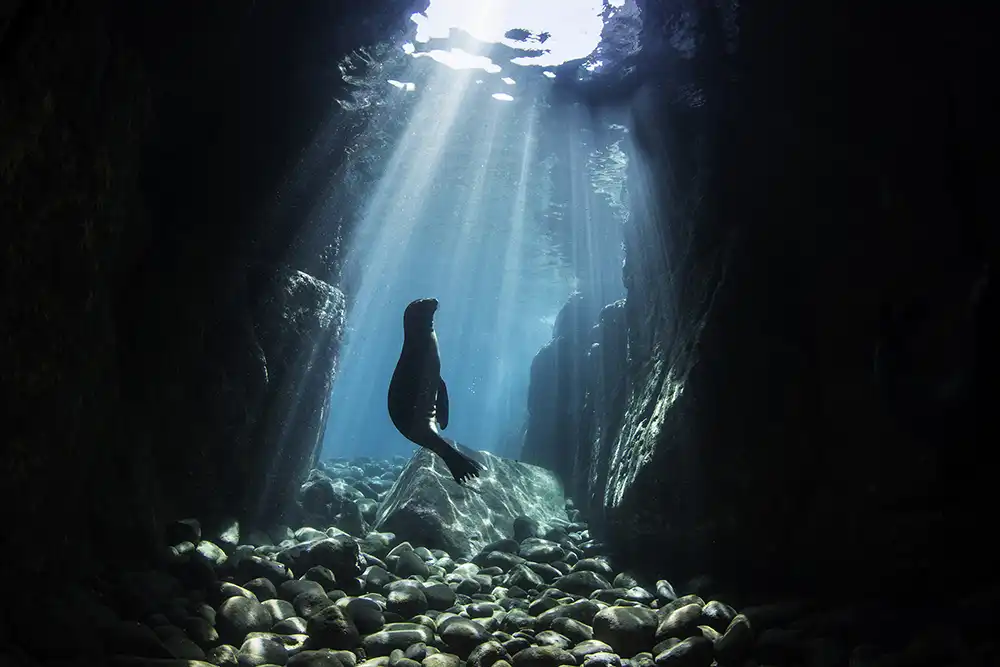 Featured Photographer: Nur Tucker