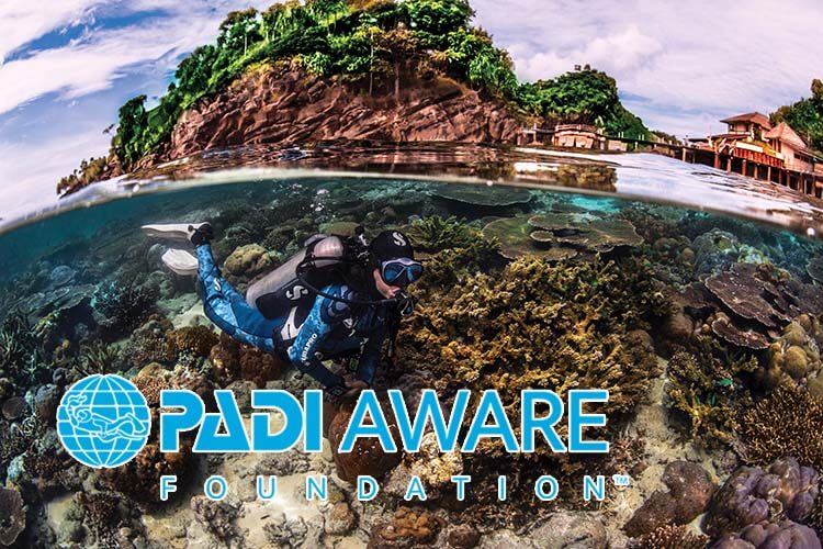 PADI AWARE Specialty now available as eLearning