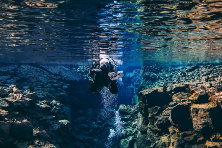 QUIZ: Freshwater Diving