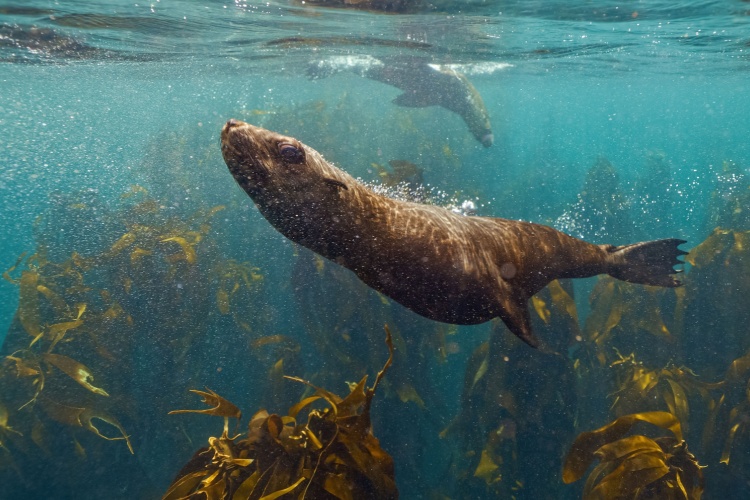 QUIZ: Marine Habitats
