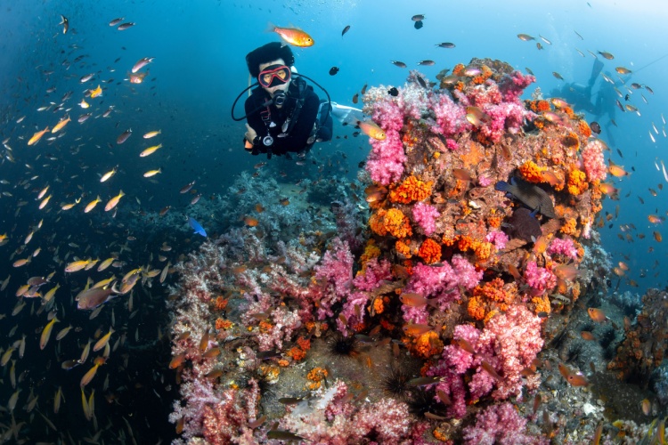 QUIZ: Dive Geography Challenge