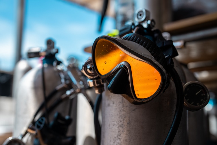 QUIZ: True or False – Gear