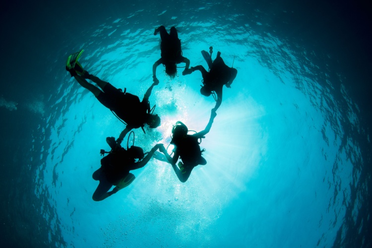 QUIZ: Diving World Records