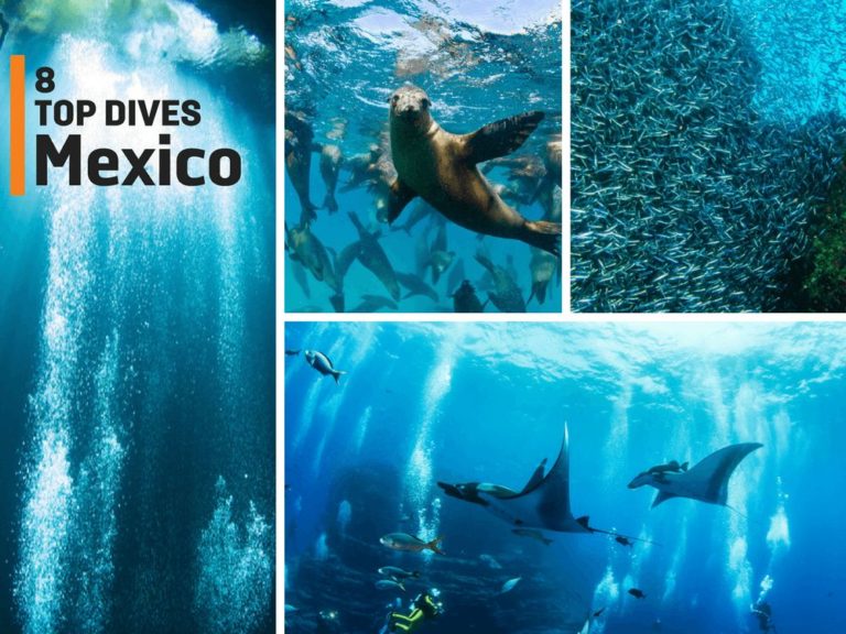 Eight of the best places to scuba dive in Mexico - DIVE Magazine