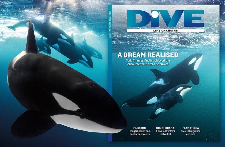 DIVE Magazine Winter 2023