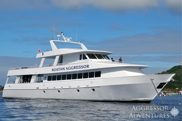 Aggressor Adventures’ Roatan Aggressor liveaboard highlights