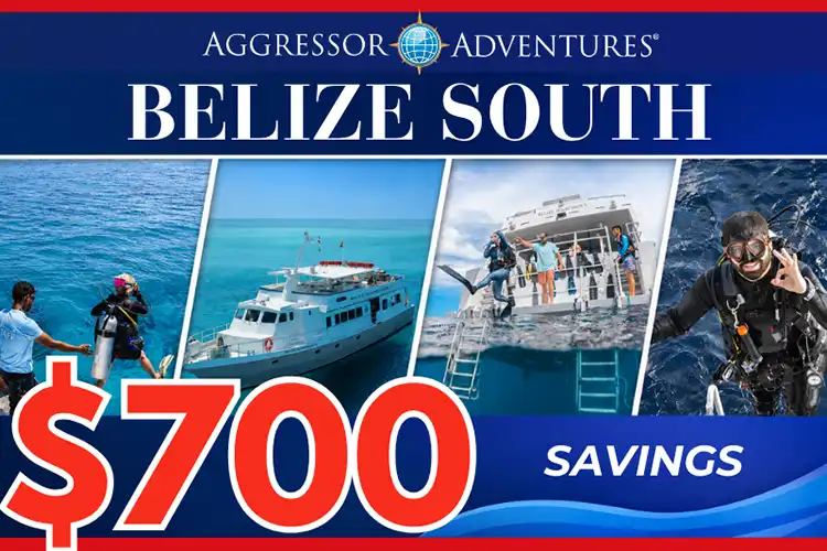 Aggressor Adventures announces $700 savings on Belize South itinerary