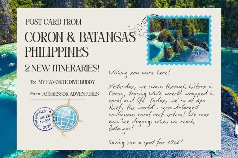 New Philippines Aggressor itineraries launched for 2026