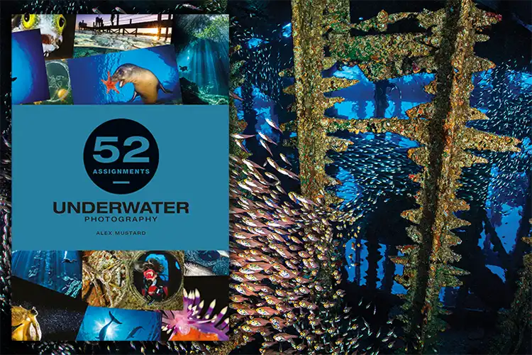 cover of Alex Mustard's 52 assignments in underwater photography