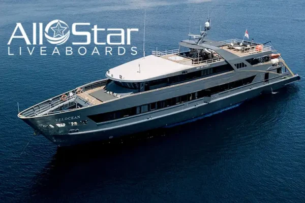 All Star Liveaboards – why 46 years of experience matters