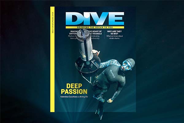 DIVE Magazine Autumn 2021