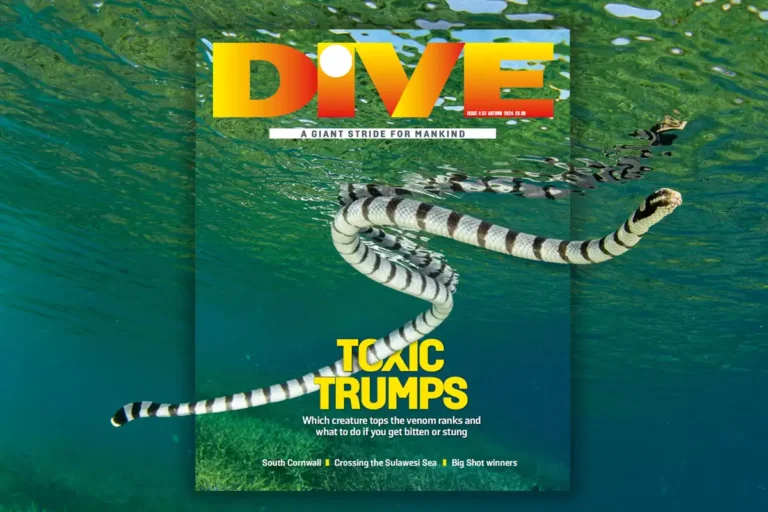 DIVE Magazine Autumn 2024 preview