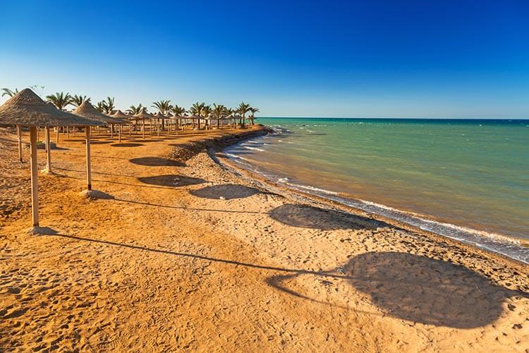 hurghada russian tourist shark attack