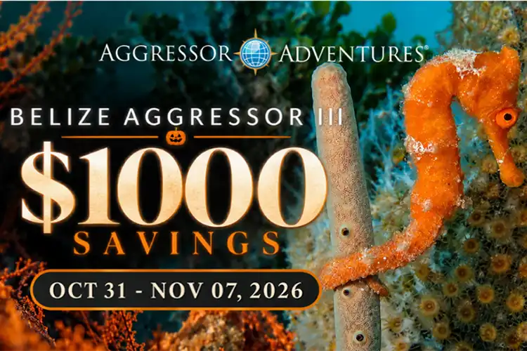 Aggressor Adventures last-minute $1,000 savings on Belize Aggressor III