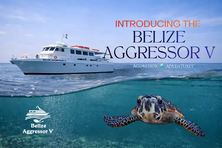 Aggressor Adventures announces Belize Aggressor V and new Belize South itinerary