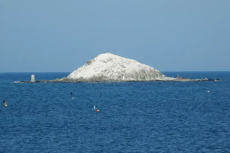 Nine divers rescued after drifting in cold waters off northern Hokkaido, Japan
