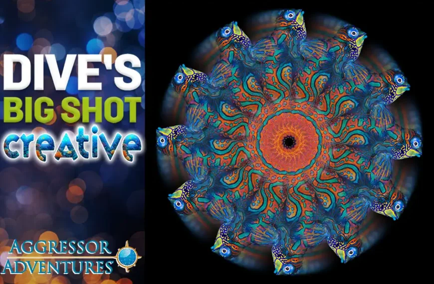 DIVE’s Big Shot Creative – win an Aggressor Adventures liveaboard trip
