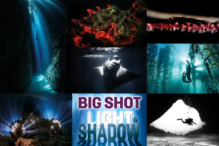DIVE’s Big Shot Light and Shadow – the winners