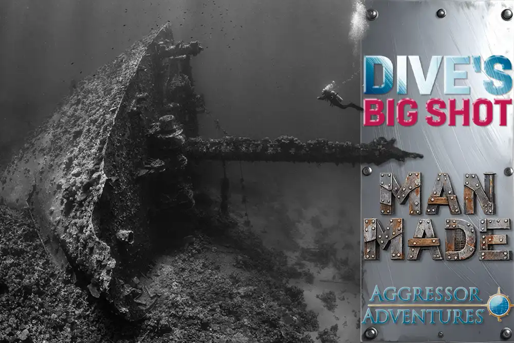 DIVE’s Big Shot Man-Made – the winners