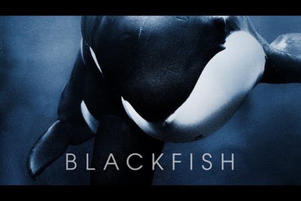 Six must-watch marine conservation documentaries