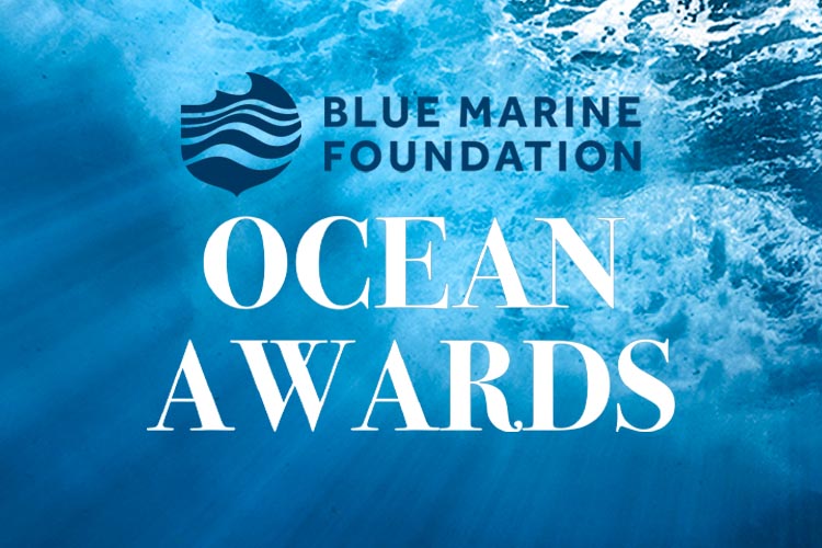 Blue Marine Foundation’s Ocean Awards 2024