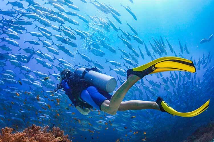 scuba diver wearing full-foot fins