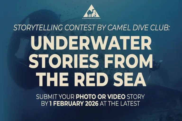 Camel Dive launches Red Sea storytelling contest for underwater creators