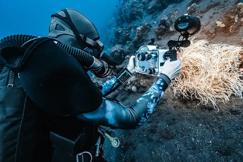 a diver hovering low to the seabed and close to an anemone while wearing a closed circuit rebreather