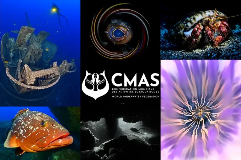 Winning images from the CMAS Underwater Photography and Video World Cup