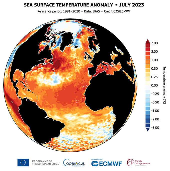 Map of July sea surface temperature anomalies