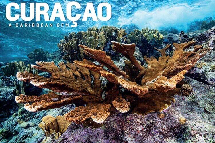 Scuba diving Curaçao – a Caribbean gem