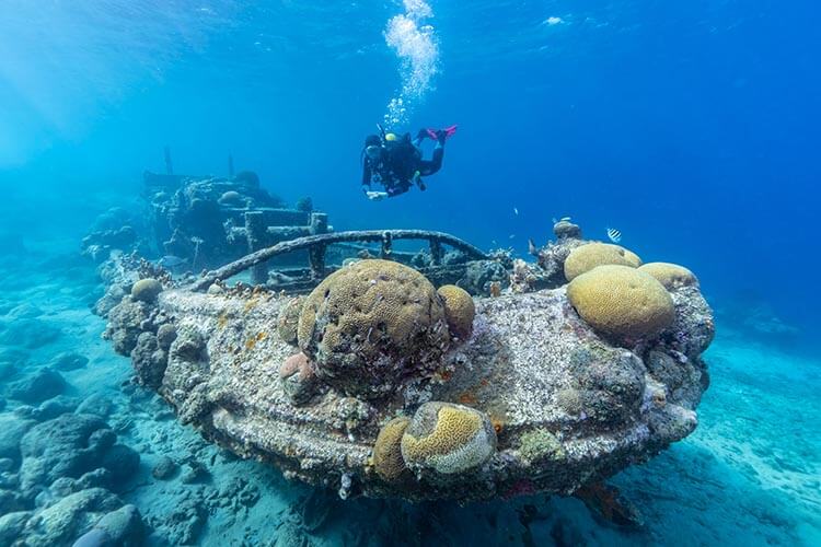 The photogenic and shallow Tugboat, one of Curaçao's most iconic dive sites