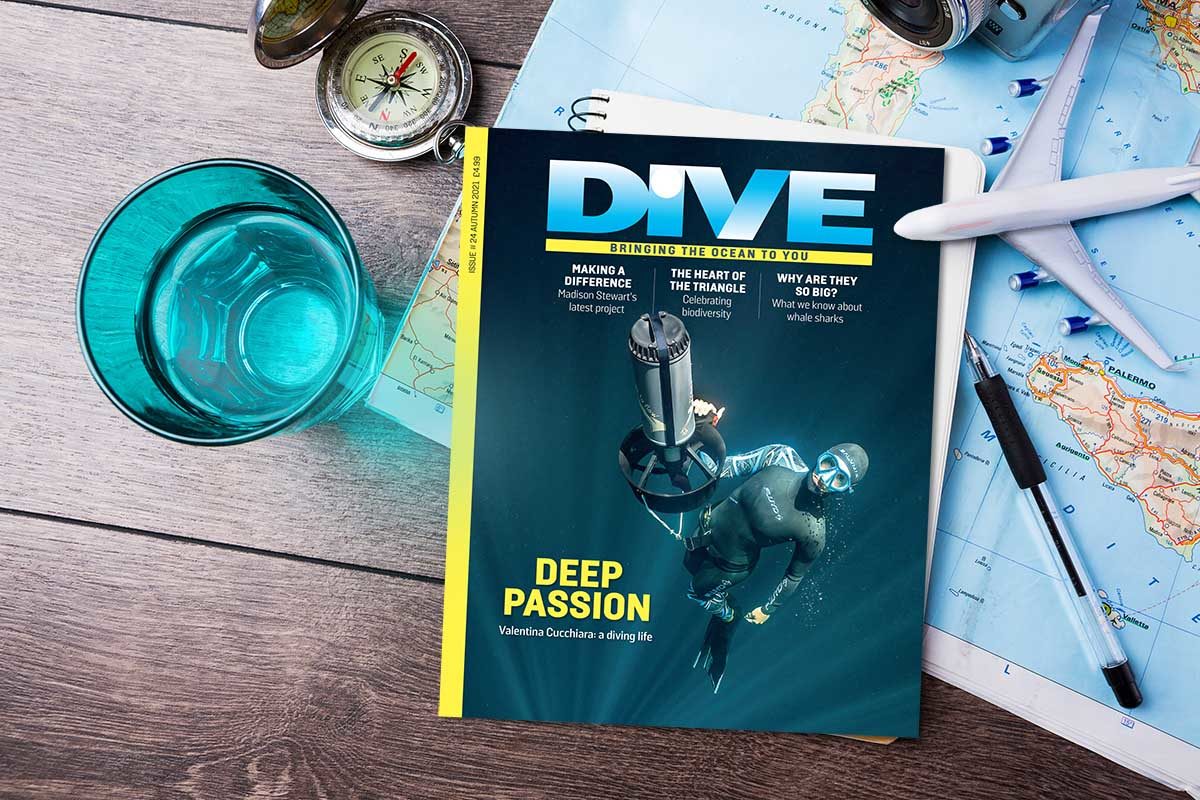 planning your next scuba diving vacation