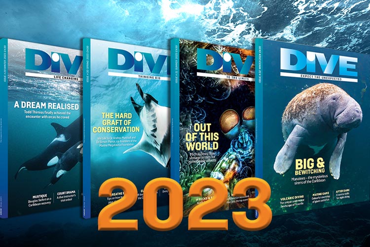2023 – DIVE’s year in review