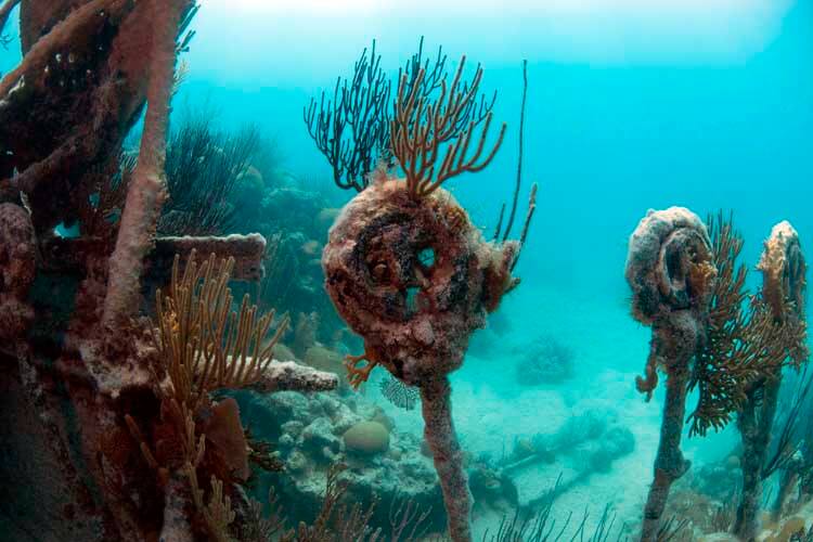 deadeyes on the wreck of the north carolina in bermuda