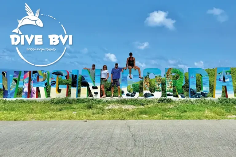 Dive BVI – Discover the British Virgin Islands beneath the surface