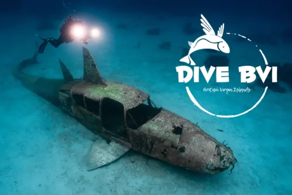 Dive BVI: Celebrating 50 years of excellence in Virgin Gorda