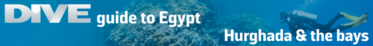 scuba diving guide to egypt hurghada and the bays